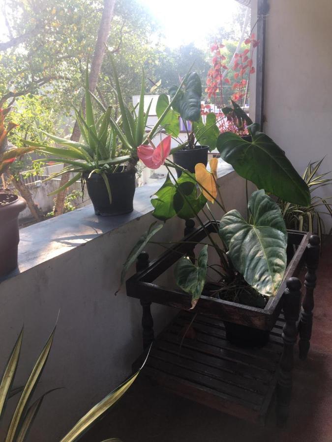 Marari Sibiya Beach Villa Mararikulam Esterno foto
