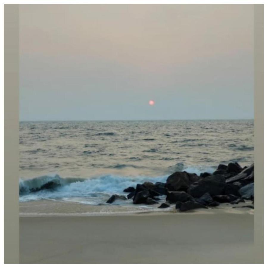 Marari Sibiya Beach Villa Mararikulam Esterno foto