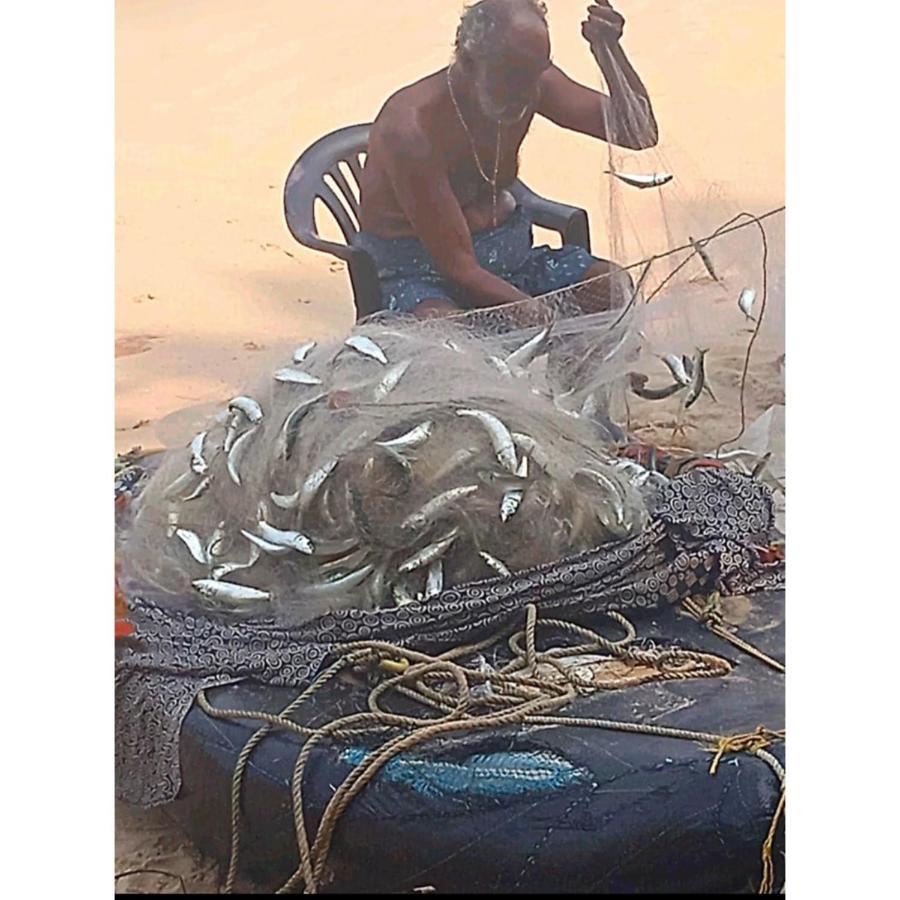 Marari Sibiya Beach Villa Mararikulam Esterno foto